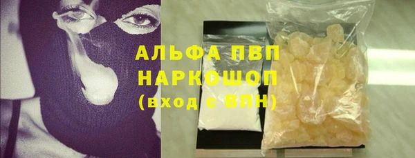 СК Аркадак