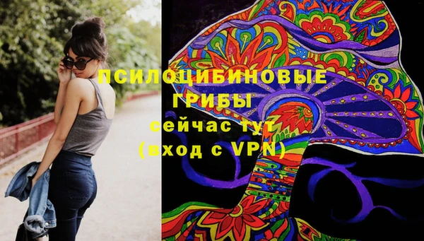 СК Аркадак