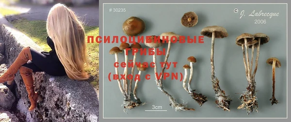 СК Аркадак