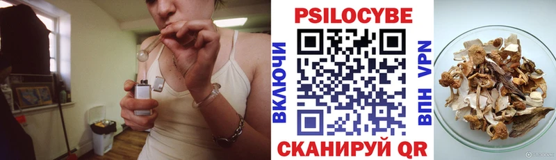 это как зайти  Светогорск  Псилоцибиновые грибы MAGIC MUSHROOMS 