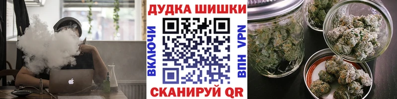 дарнет шоп  hydra ссылка  Бошки Шишки White Widow  Светогорск 